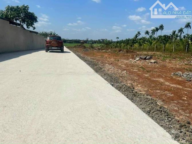 Bán lô đất xã Hoà Khánh,hẻm đường Tố Hữu tp BMT - 2