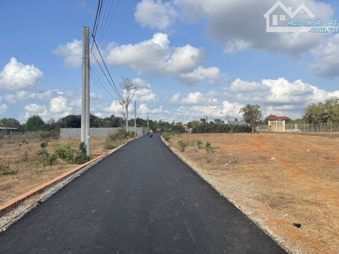 BÁN ĐẤT LONG PHƯỚC THÀNH PHỐ BÀ RỊA VŨNG TÀU - 3