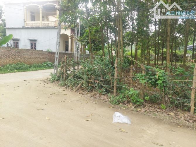 Lô góc nhỏ xinh 1100m đẹp nhất đông xuân giá 5,5tr/m sẵn sổ - 2