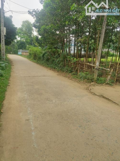 Lô góc nhỏ xinh 1100m đẹp nhất đông xuân giá 5,5tr/m sẵn sổ - 4