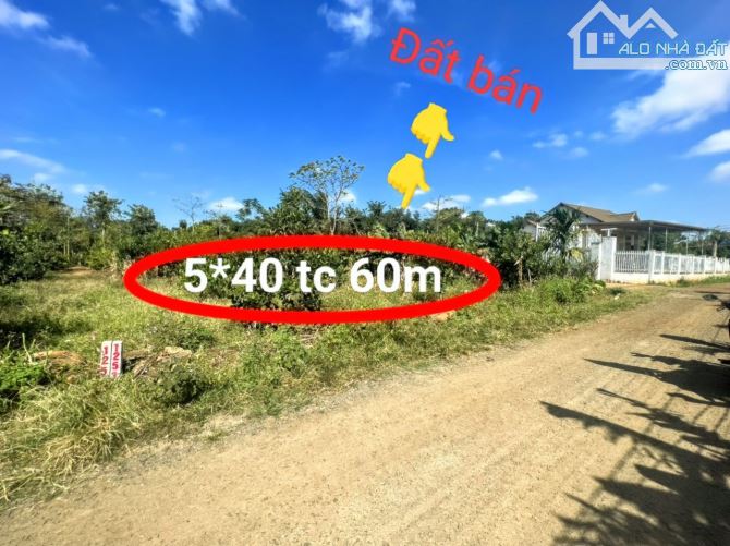 22.🏡Eaning_Cư Kuin_ Daklak🌉🌉 Sẵn sổ siêu đẹp   👉👉5*40m tc 60m chỉ 2️⃣0️⃣9️⃣tr  📌Cách - 4