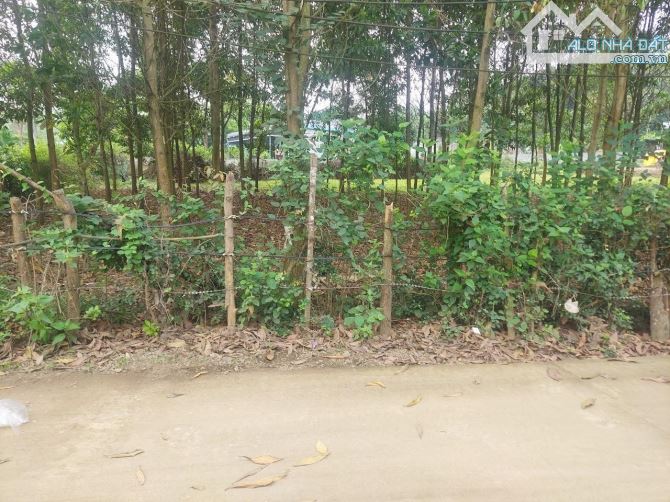 Lô góc nhỏ xinh 1100m đẹp nhất đông xuân giá 5,5tr/m sẵn sổ - 5