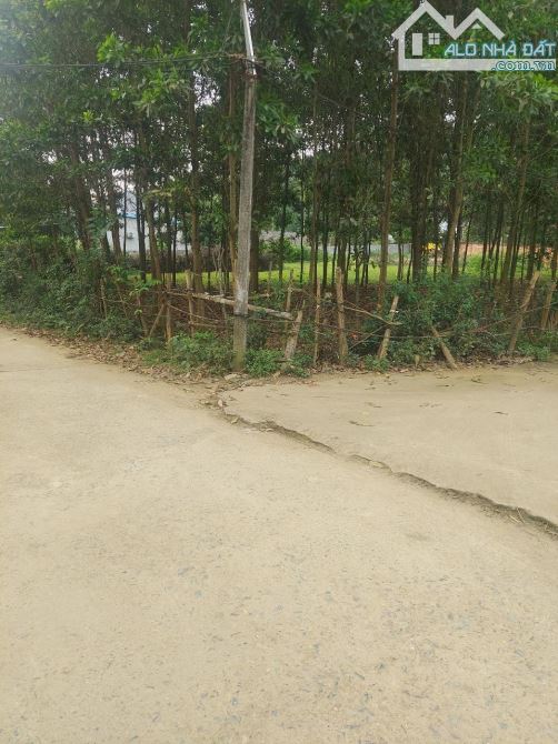 Lô góc nhỏ xinh 1100m đẹp nhất đông xuân giá 5,5tr/m sẵn sổ - 6