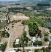 ⚠️HỮU DUYÊN CHO QUÝ ANH CHỊ NĐT⚠️ Lô đất thổ cư 1.2 triệu/m2 ở Ninh Tân - Ninh Hoà