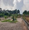 Đất vườn QH 100% đất ở, Tân Phú Trung, Củ Chi, MT Đ. Võ Thị Nghỉ nhựa LG12m, 12x41m, 500m2