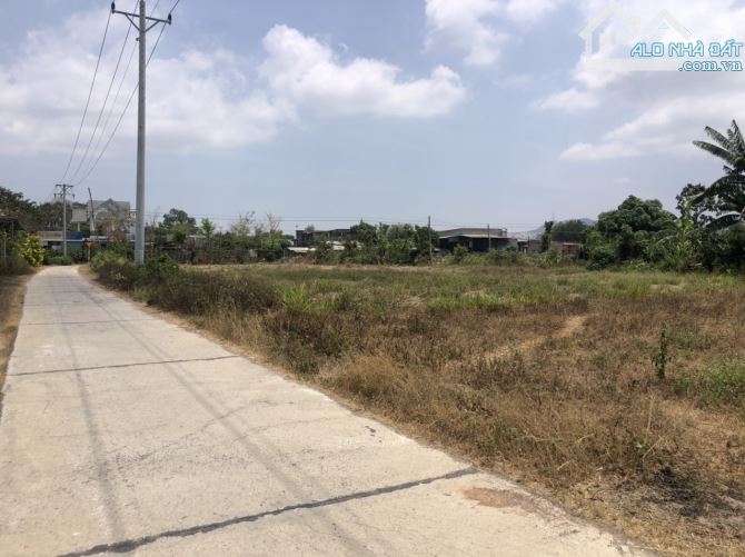 Bán 450m đất lúa, quy hoạch thổ cư, trung tâm thị trấn Ma Lâm, giá 315 triệu hết sổ