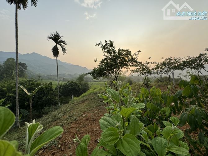 🌸 Siêu Phẩm View Cánh Đồng - Cách Suối 50m - 3015m - Giá 2.4 Tỷ 🌸