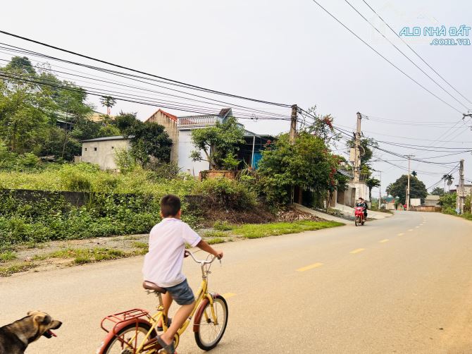 BÁN ĐẤT MẶT TIỀN NHỰA TỈNH LỘ - 1