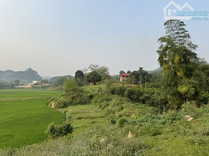 🌸 Siêu Phẩm View Cánh Đồng - Cách Suối 50m - 3015m - Giá 2.4 Tỷ 🌸 - 1