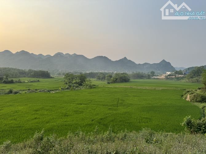 🌸 Siêu Phẩm View Cánh Đồng - Cách Suối 50m - 3015m - Giá 2.4 Tỷ 🌸 - 2