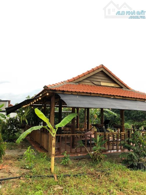 Bán farm nhà vườn phù hợp đầu tư sinh thái du lịch - 9