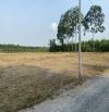 Bán lô đất 350tr ở KCN Phước Đông Trảng Bàng Tây Ninh full thổ, sổ sẵn