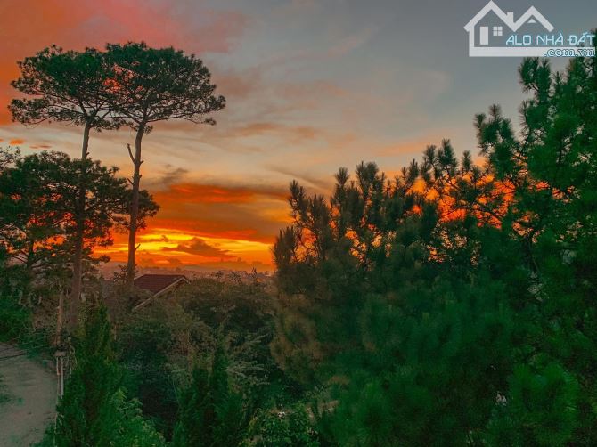 Bán biệt thự 2 mặt tiền Đặng Thái Thân, Phường 3, Đà Lạt view siêu đẹp.