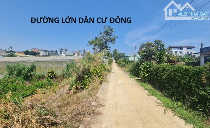 724m2 đất xã Đambri Bảo Lộc có 300 thổ đường ô tô dân đông đúc view đẹp - 1