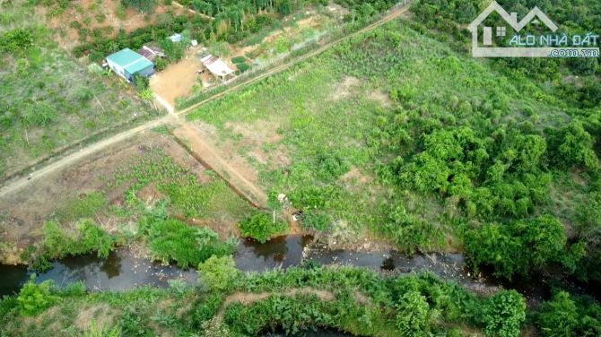 💥1,8HA CÓ SUỐI ĐÁ LỚN CỰC ĐẸP - ĐẤT QUANH SUỐI BẰNG NHƯ SÂN💥 - 4