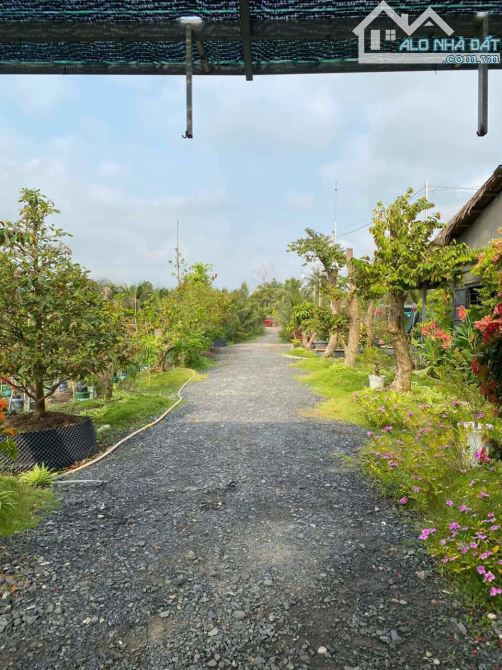 Hơn mẫu đất Mt đường Nguyễn Văn Quá, xã LBN, TP Tân An