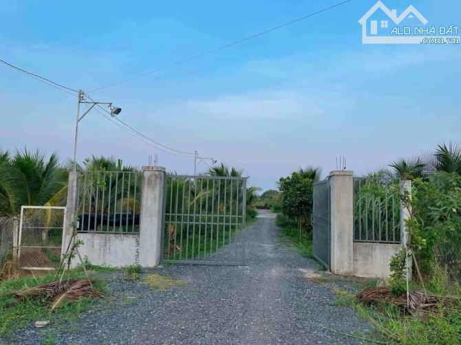 Hơn mẫu đất Mt đường Nguyễn Văn Quá, xã LBN, TP Tân An - 1