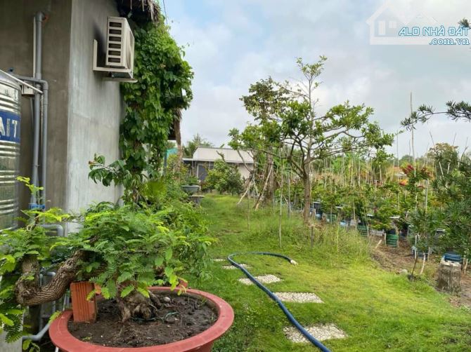 Hơn mẫu đất Mt đường Nguyễn Văn Quá, xã LBN, TP Tân An - 3