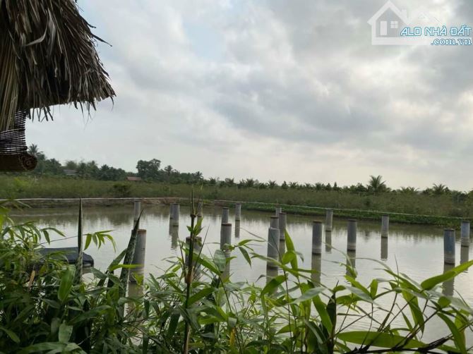 Hơn mẫu đất Mt đường Nguyễn Văn Quá, xã LBN, TP Tân An - 5