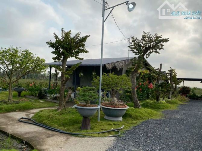 Hơn mẫu đất Mt đường Nguyễn Văn Quá, xã LBN, TP Tân An - 6