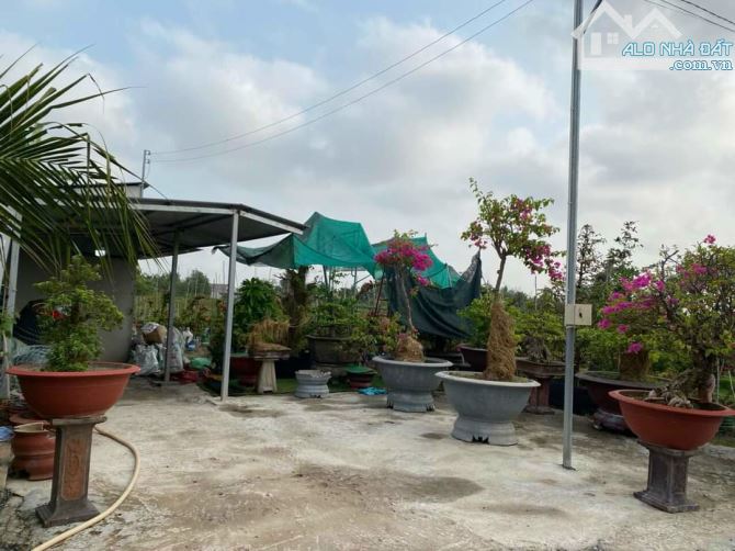 Hơn mẫu đất Mt đường Nguyễn Văn Quá, xã LBN, TP Tân An - 7