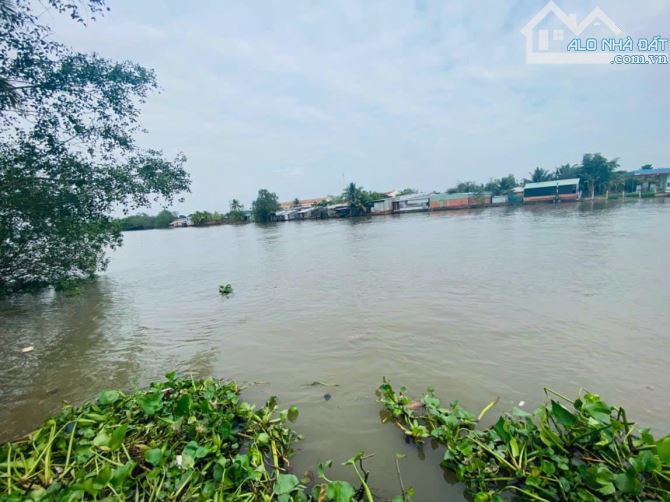 Bán 1000m2 đất ( 34 x 30 ) hai mặt tiền sông và lộ nhơn ái - Phong Điền - TPCT - 2
