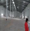 Cho thuê kho xưởng 2500m2 PCCC  nghiệm thu tại CCN Thanh Oai, Thanh Oai, Hà Nội