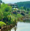 Bán Biệt thự KIWUKI view đồi tuyệt đẹp, thuộc khu nghỉ dưỡng thành phố Bảo Lộc, giá tốt