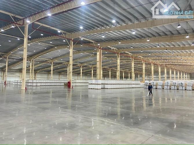 Cho thuê kho KCN Tân Đông Hiệp B, Dĩ An, Bình Dương
