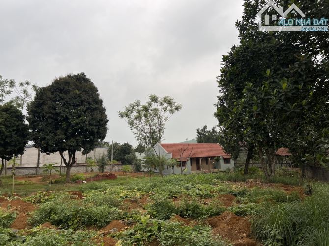 Bán gấp lô đất 3 mặt tiền bám trục đường aphan liên xã tại Lương Sơn, Hòa Bình