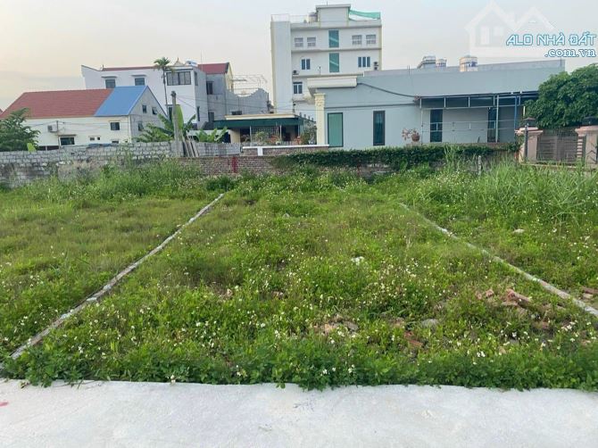 Đất Tân Dương đường 4m giá siêu tốt vị trí trung tâm Thuỷ Nguyên - 1