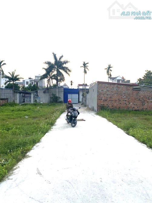 Đất Tân Dương đường 4m giá siêu tốt vị trí trung tâm Thuỷ Nguyên - 2