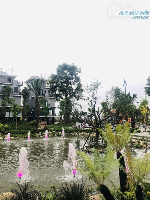 Bán shophouse kinh doanh tại khu đô thị eco central park vinh - 3