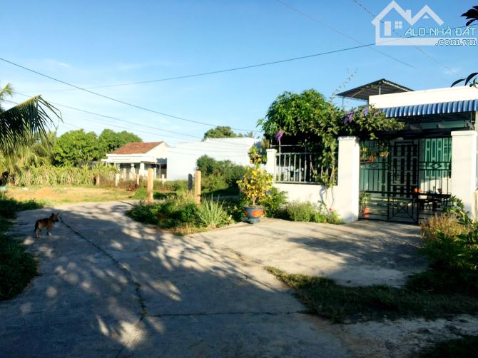 Đất thổ cư giá Rẻ-Phường Bình Thuận(Phong Nẫm-Phan Thiết cũ)-Lâm Đồng - 1