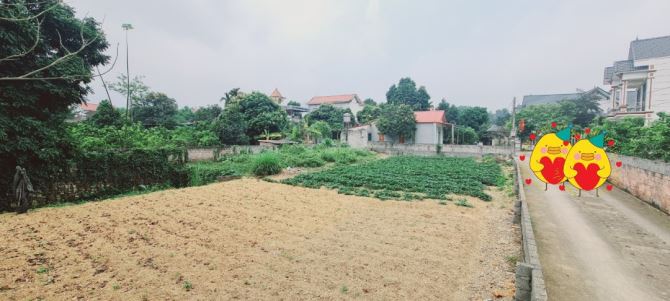 HÀNG HIẾM CHƯƠNG MỸ.DT 726M²/  300M _ONT. - 1