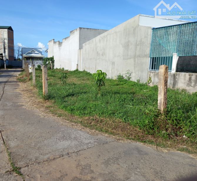 Đất thổ cư giá Rẻ-Phường Bình Thuận(Phong Nẫm-Phan Thiết cũ)-Lâm Đồng - 2
