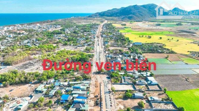 MẶT TIỀN ĐƯỜNG VEN BIỂN 42M ( VŨNG TÀU BÌNH CHÂU) - THỊ TRẤN PHƯỚC HẢI - ĐẤT ĐỎ - BRVT - 2