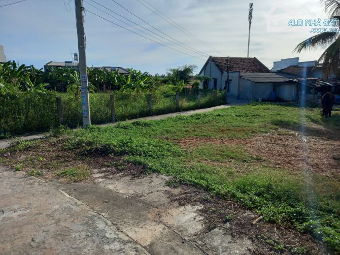 Đất thổ cư giá Rẻ-Phường Bình Thuận(Phong Nẫm-Phan Thiết cũ)-Lâm Đồng - 3