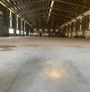 Cho thuê kho xưởng 2000m2 trần cao 7m đường Container tại QL1A - Quận 12