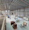 Cho thuê kho xưởng giá rẻ 1400m2 chỉ 60 triệu tại đường Nguyễn Cửu Phú - Bình Tân