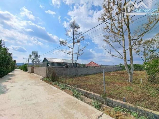 12x43m Lê Thị Riêng Bảo Lộc chỉ 1ty250