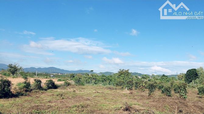 12x43m Lê Thị Riêng Bảo Lộc chỉ 1ty250 - 1