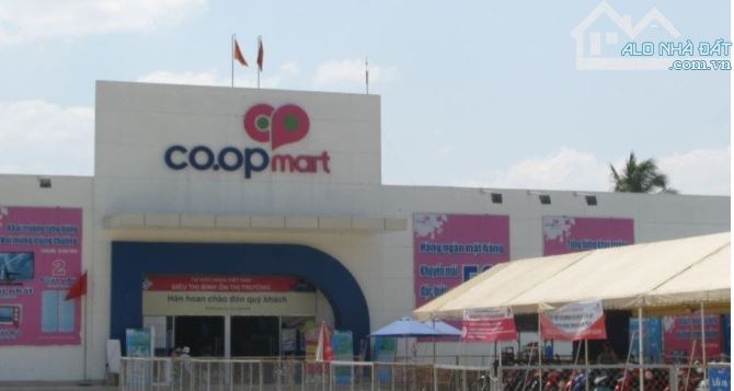 Bán gấp lô đất 92m2 giá 1tỷ5 ngay Coop Mart Đỗ Văn Dậy, Tân Hiệp, Hóc Môn sổ hồng riêng - 5