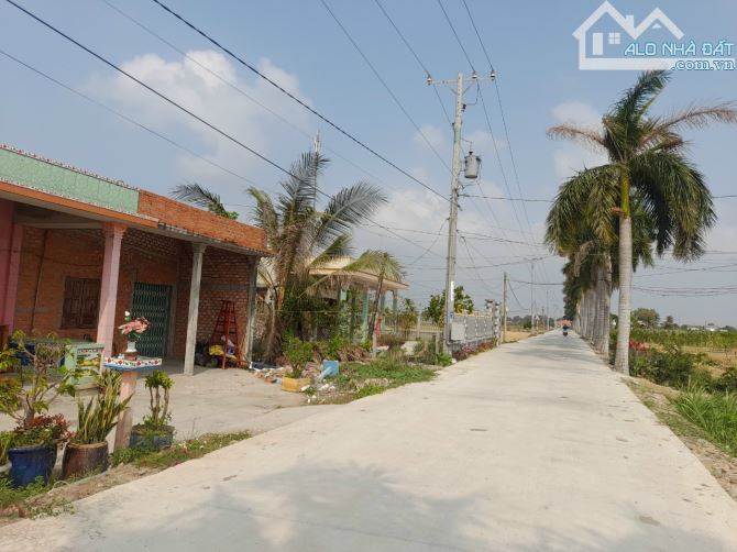 Quá rẻ, 185m2 đất thổ đường ô tô Cầu Dừa, Tân Trụ, 489 tr