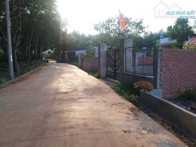 Bán 269 m2 có thổ cư khu bàn cờ bàu can giá mềm - 1