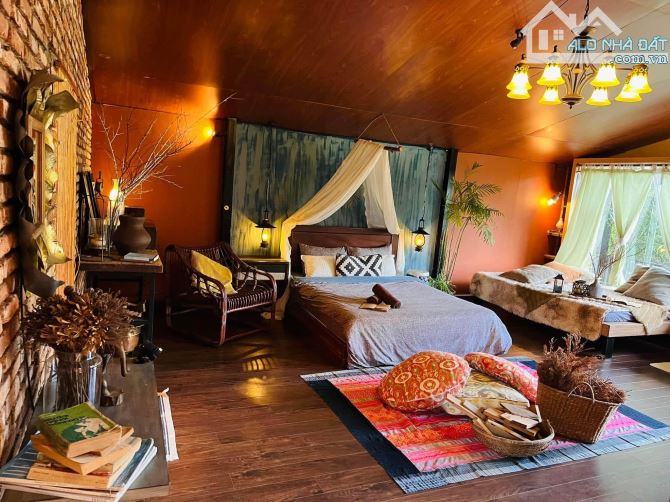 Bán Homestay Mặt tiền Sổ riêng An Bình, Phường 3, Đà Lạt - 1