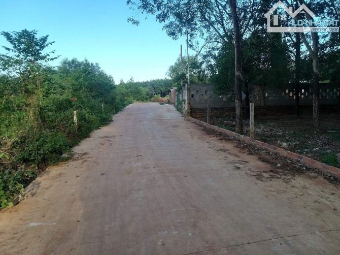 Bán 269 m2 có thổ cư khu bàn cờ bàu can giá mềm - 2