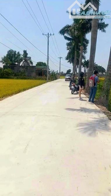 Quá rẻ, 185m2 đất thổ đường ô tô Cầu Dừa, Tân Trụ, 489 tr - 2