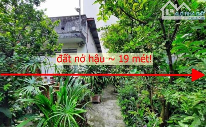 215m2/13,5 tỷ, 104/8 Nguyễn Thái Sơn. P.03, Nhà vườn  BV.175. - 4