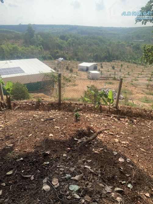 CẦN BÁN GẤP LÔ ĐẤT VIEW ĐẸP 12,052M2(1ha2) THÍCH HỢP LÀM NÔNG NGHIỆP GIÁ RẺ 1TY6 - 1